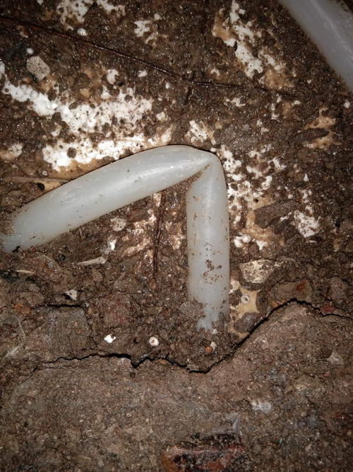 梓潼堵点精准查找